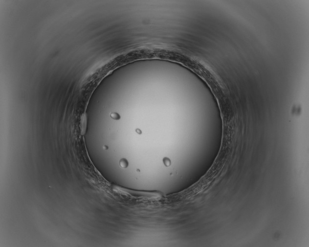 X0000090750919200708031604