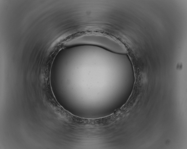 X0000090750920200708031604