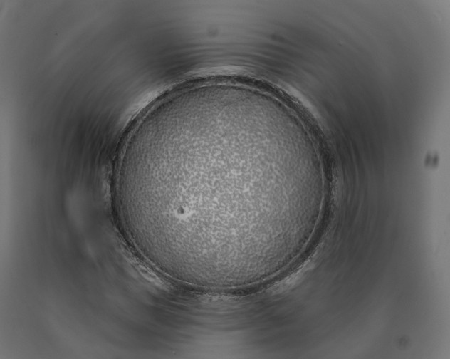 X0000090750921200708031604