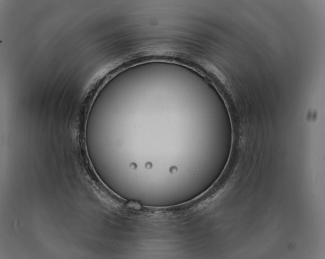 X0000090750922200708031604