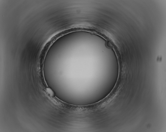 X0000090750923200708031604