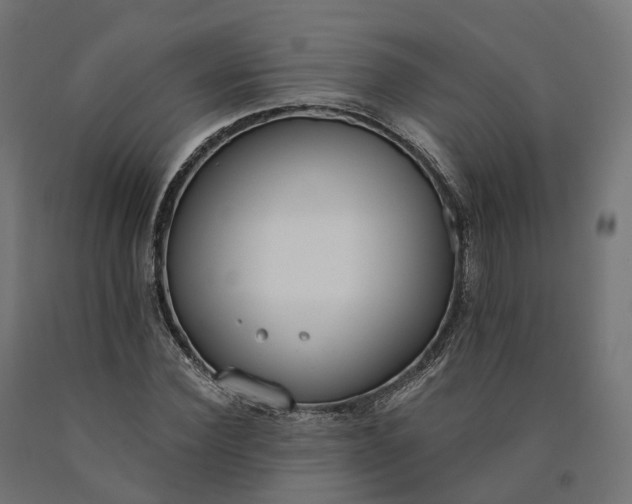 X0000090750924200708031604