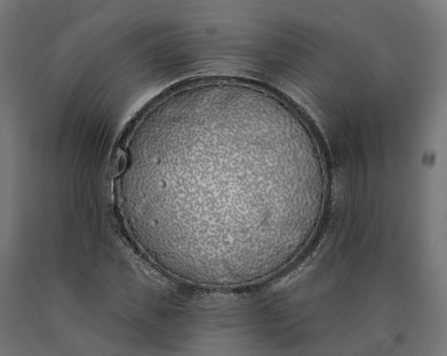 X0000090750925200708031604