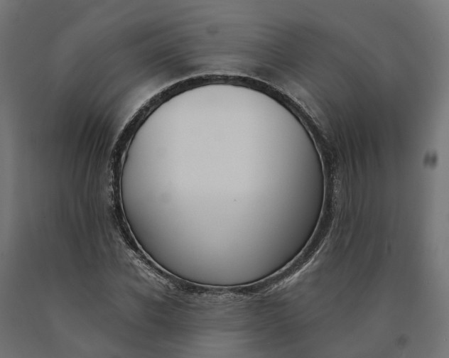 X0000090750926200708031604