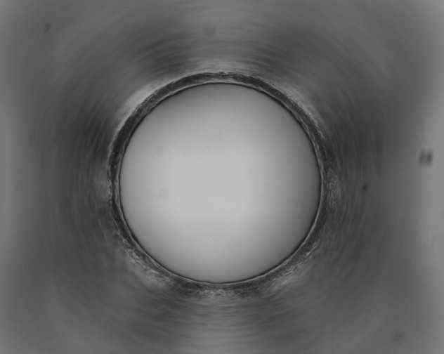 X0000090750927200708031604