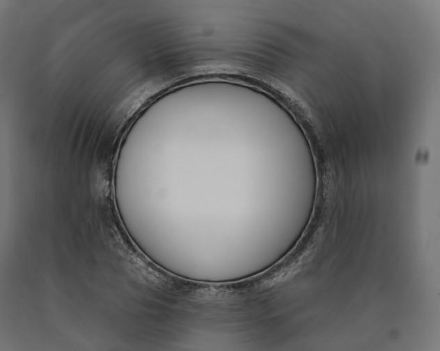 X0000090750929200708031604