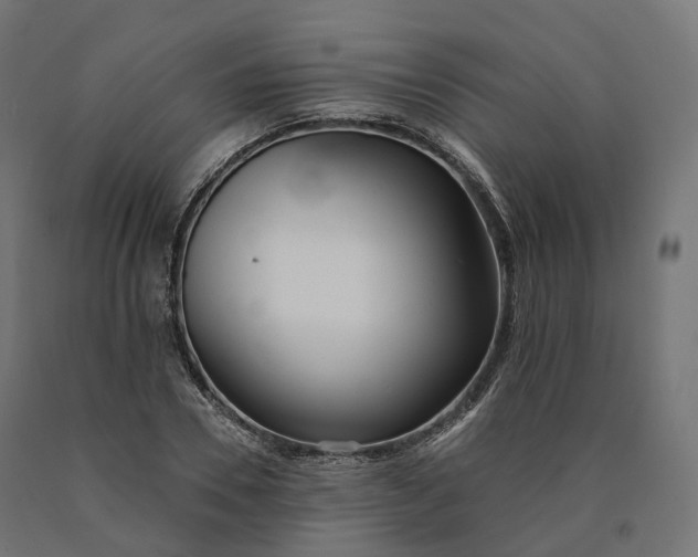 X0000090750930200708031604