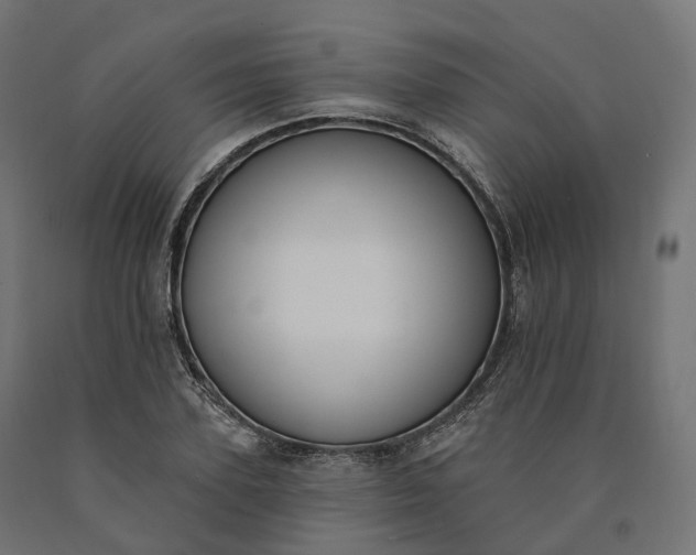 X0000090750931200708031604