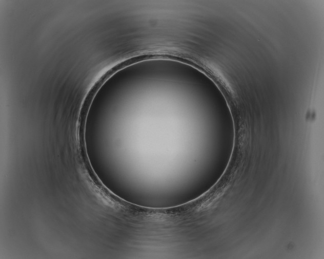 X0000090750932200708031604