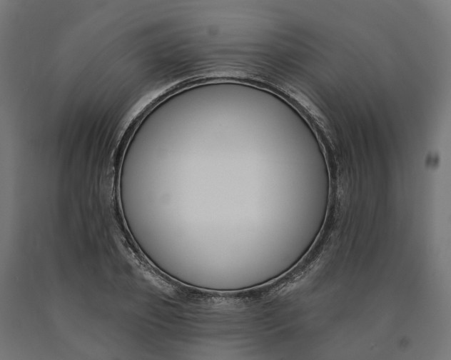 X0000090750933200708031604