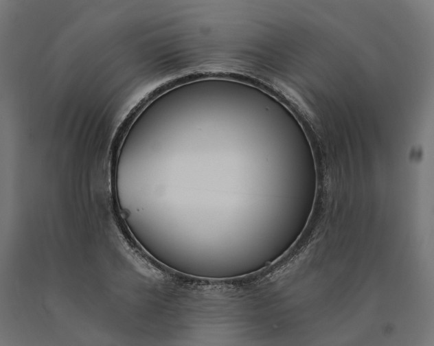 X0000090750934200708031604