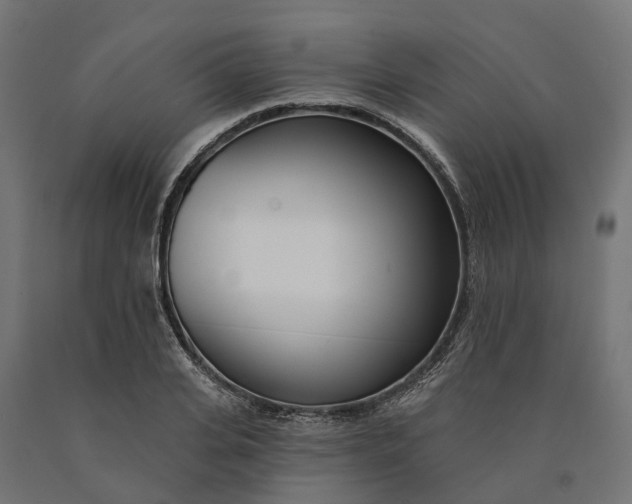 X0000090750935200708031604