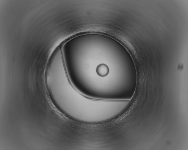 X0000090750936200708031604