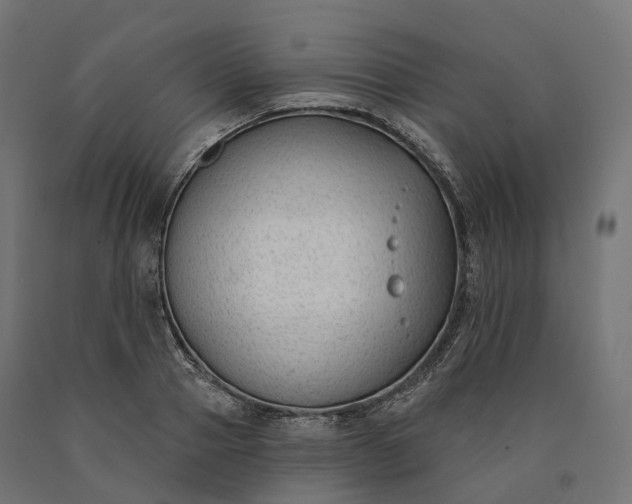 X0000090750937200708031604