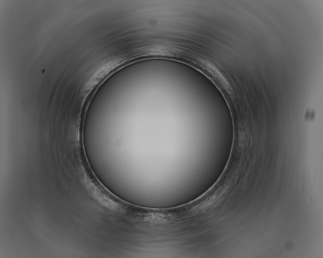 X0000090750938200708031604