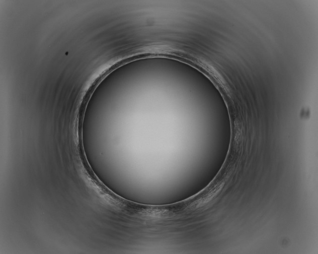 X0000090750939200708031604