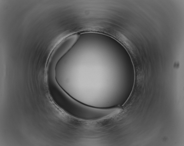 X0000090750940200708031604