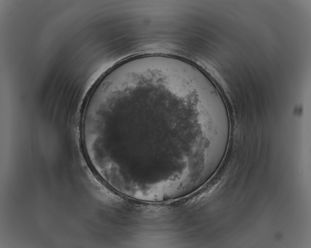 X0000090750941200708031604