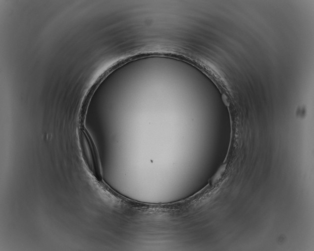 X0000090750942200708031604