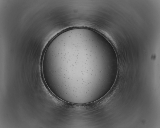 X0000090750943200708031604