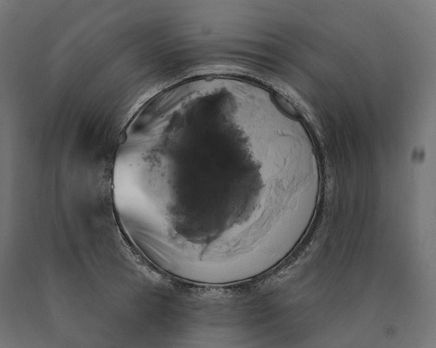 X0000090750945200708031604