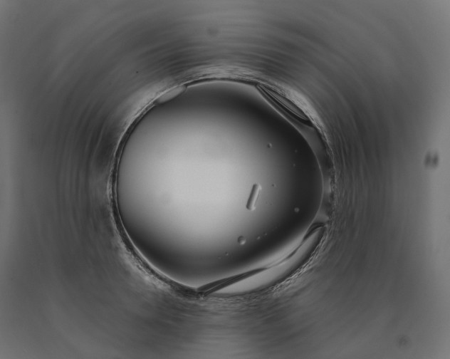 X0000090750946200708031604