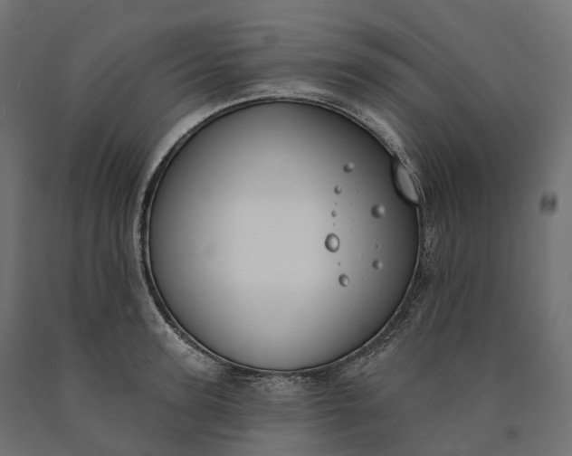 X0000090750947200708031604