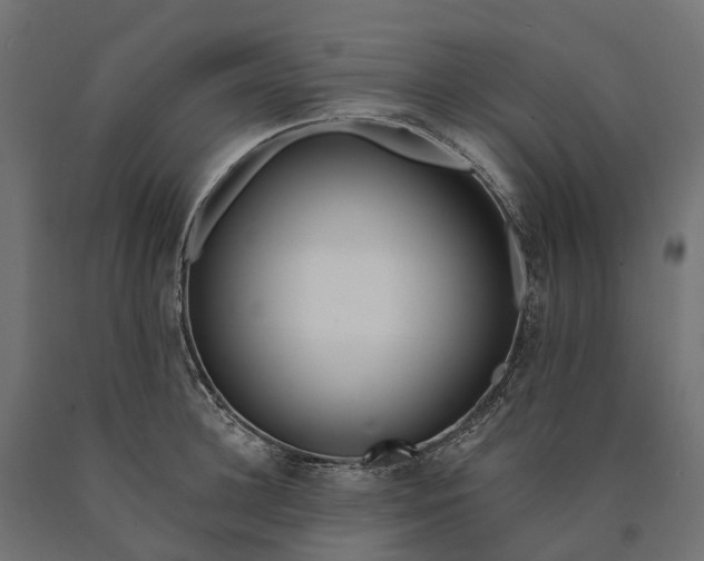 X0000090750948200708031604