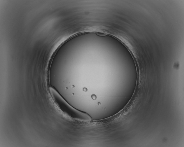 X0000090750949200708031604