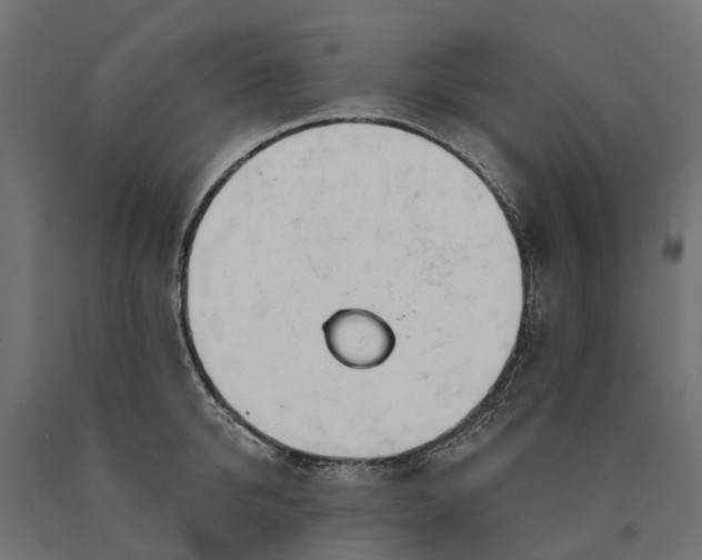 X0000090750950200708031604