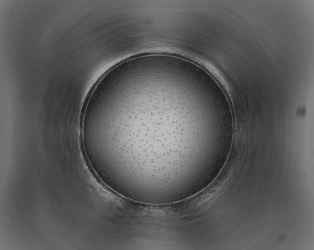 X0000090750951200708031604