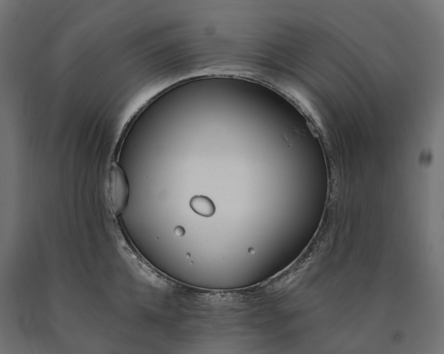 X0000090750952200708031604