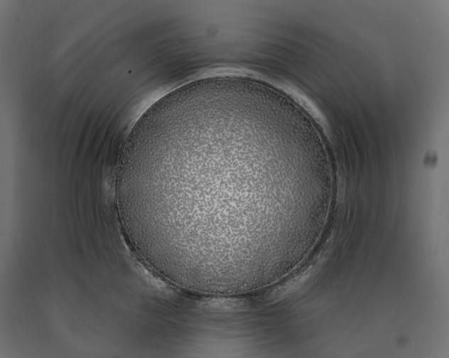 X0000090750953200708031604