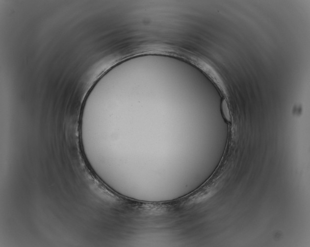 X0000090750954200708031604