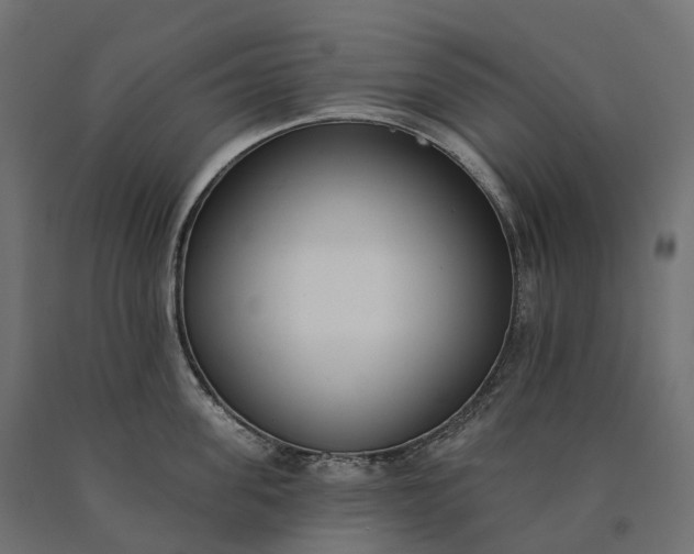 X0000090750955200708031605