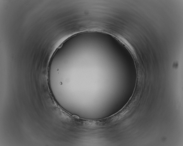 X0000090750956200708031605