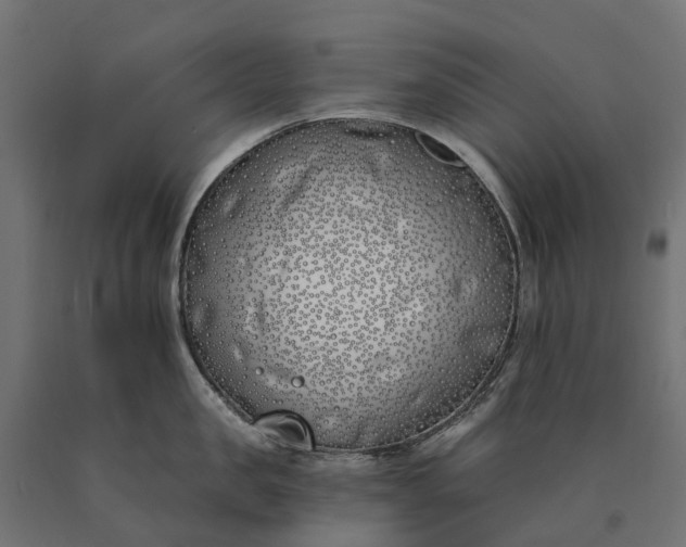 X0000090750957200708031605