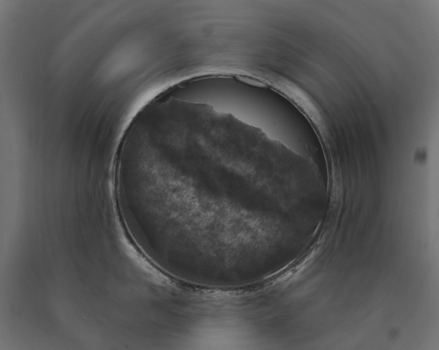 X0000090750958200708031605