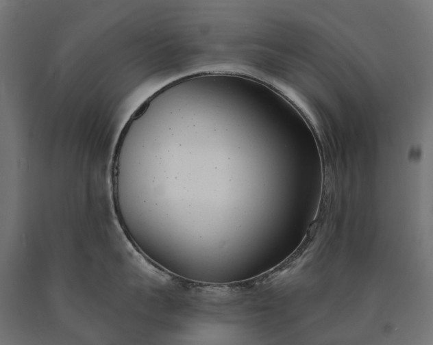 X0000090750959200708031605