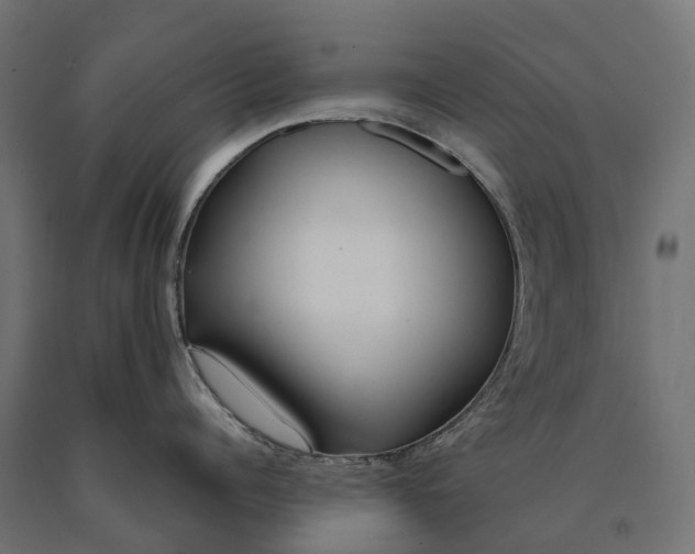 X0000090750960200708031605