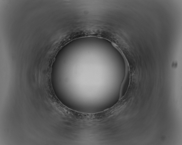 X0000090750961200708031604