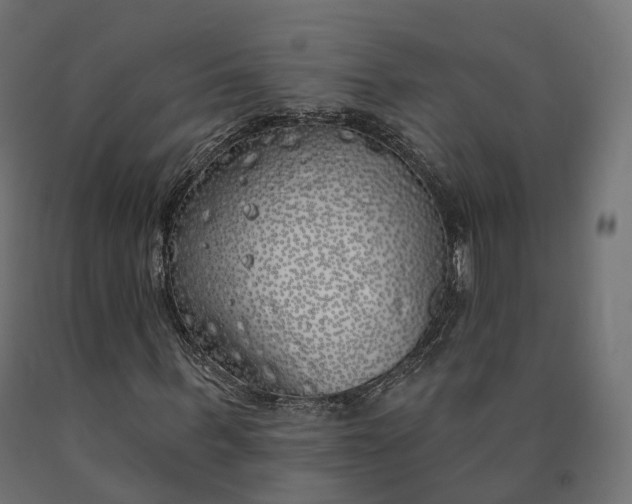 X0000090750963200708031604