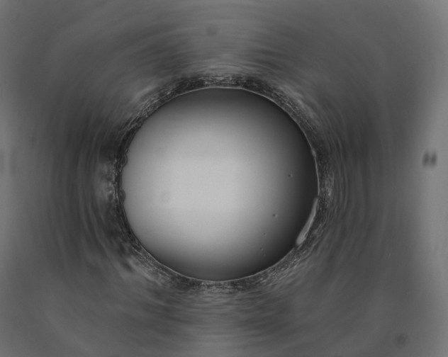 X0000090750964200708031604