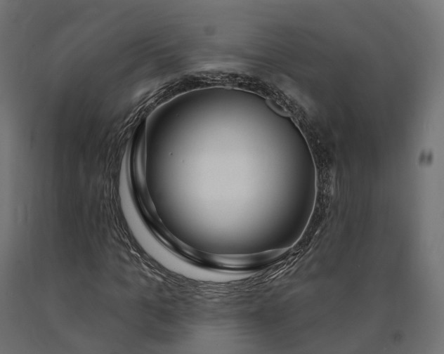 X0000090750965200708031604