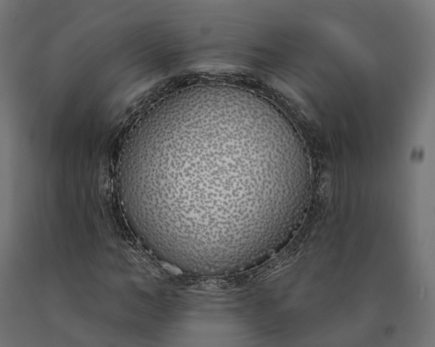 X0000090750966200708031604