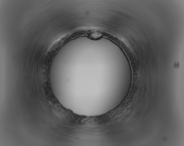 X0000090750967200708031604