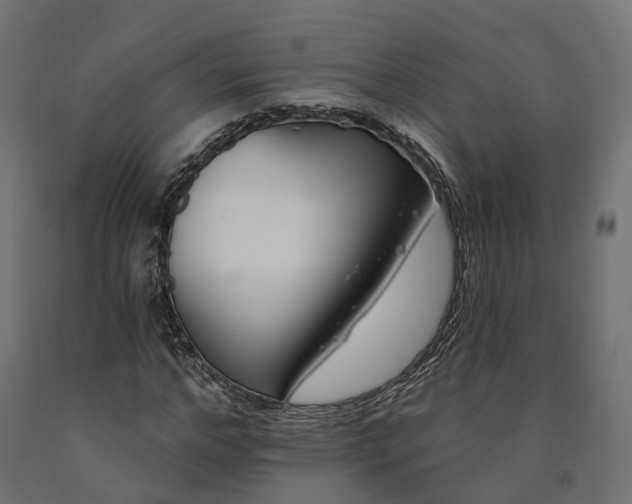 X0000090750968200708031604