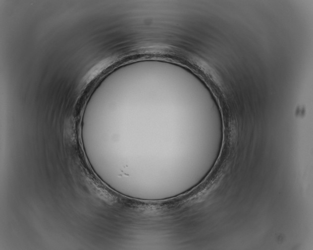 X0000090750970200708031604