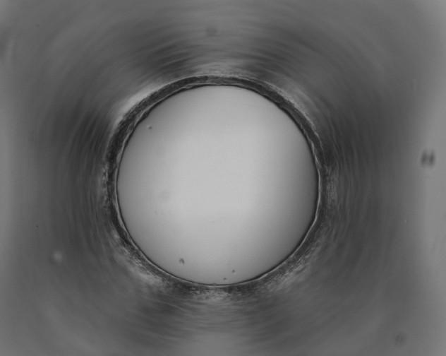 X0000090750971200708031604