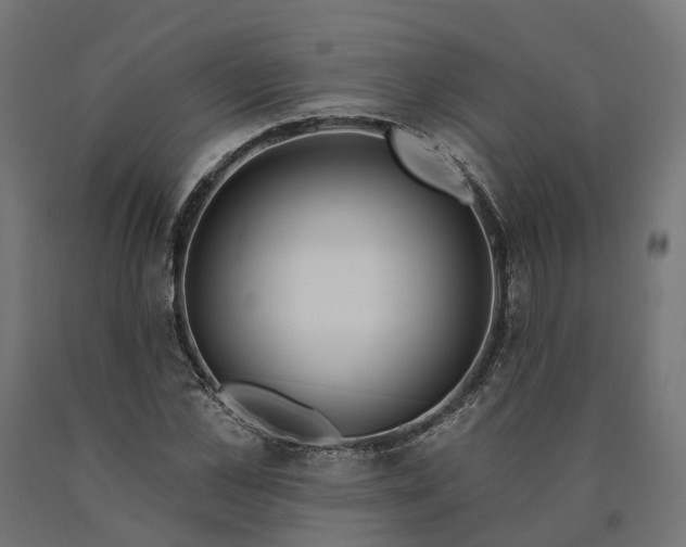 X0000090750973200708031604